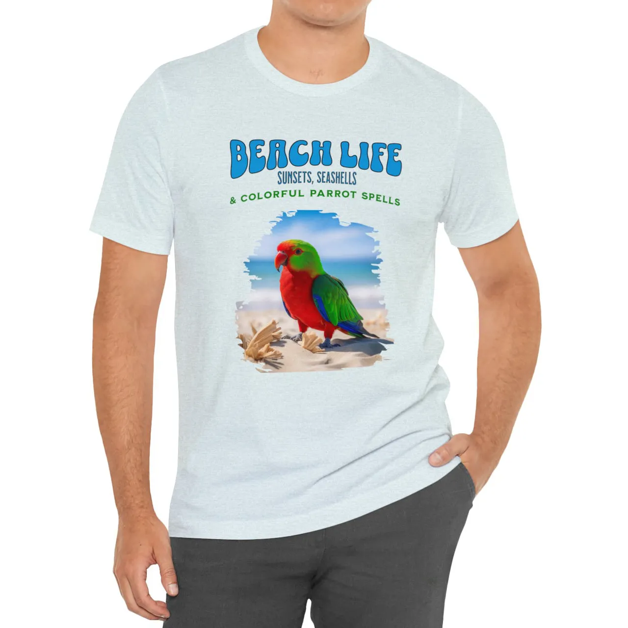 Beach Life, Sunset, Seashells, And Colorful Parrot Spells