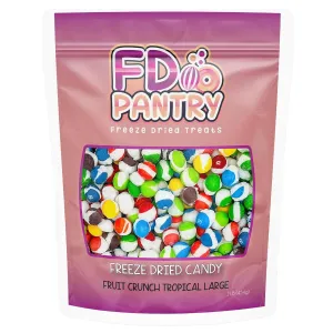 Fruit Crunch Tropical Freeze-Dried Candy, 16 oz, Tropical Fruit Flavors, Large Pouch, Ideal Gift Snack Treat
