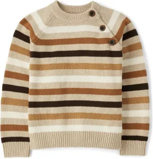 Gymboree Baby Boys' and Toddler Long Sleeve Crew Neck Pullover Sweater