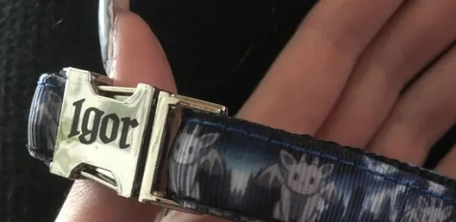 Halloween Spooky Dog or Cat Collar - Customized Martingale or Standard Dog or Cat Collar