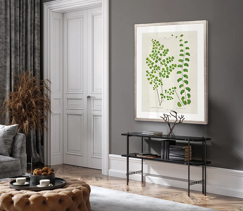 Lush Fern II
