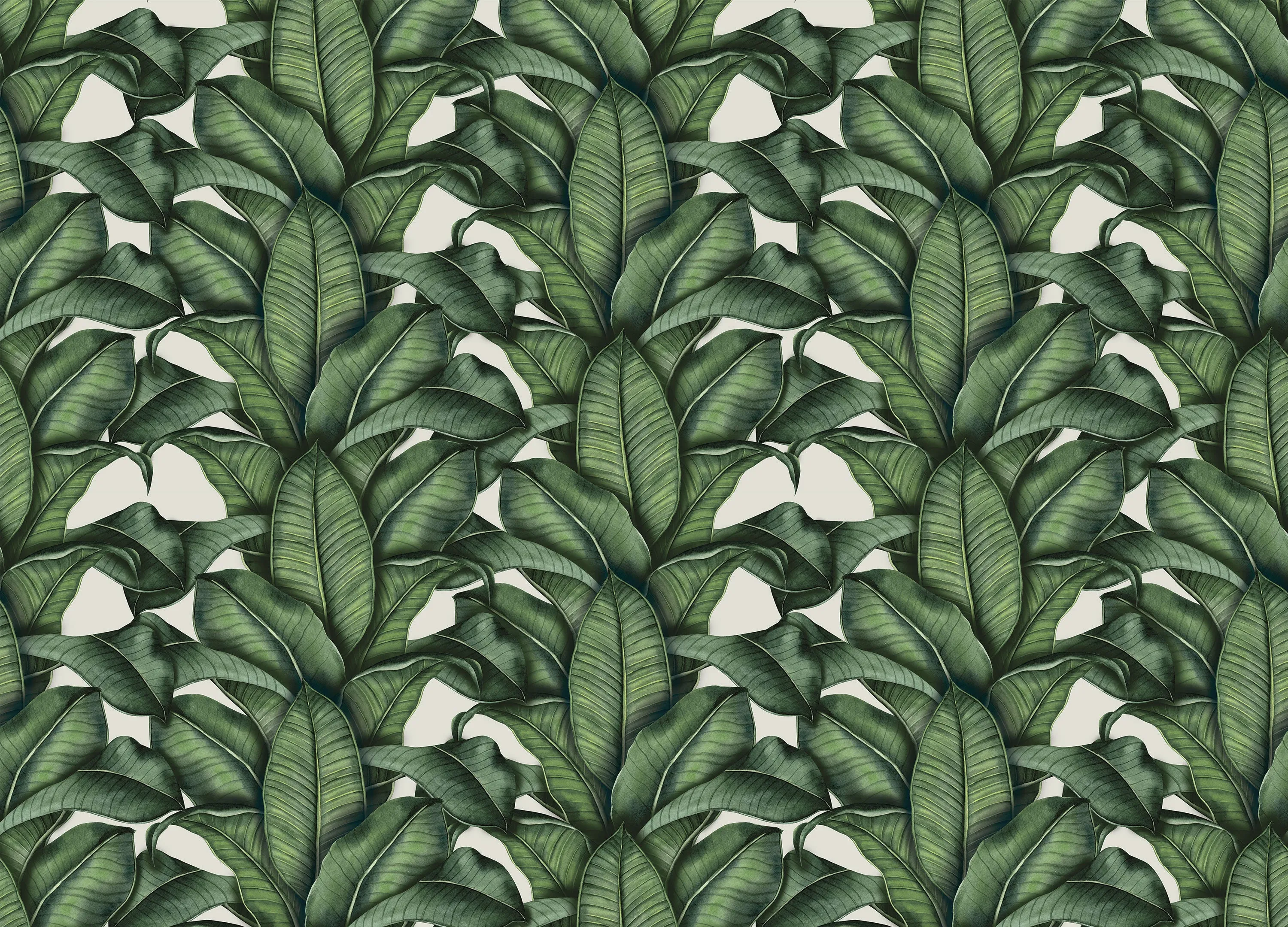 Palms wall mural WIV-831 - Bring Tropical Elegance to Your Space
