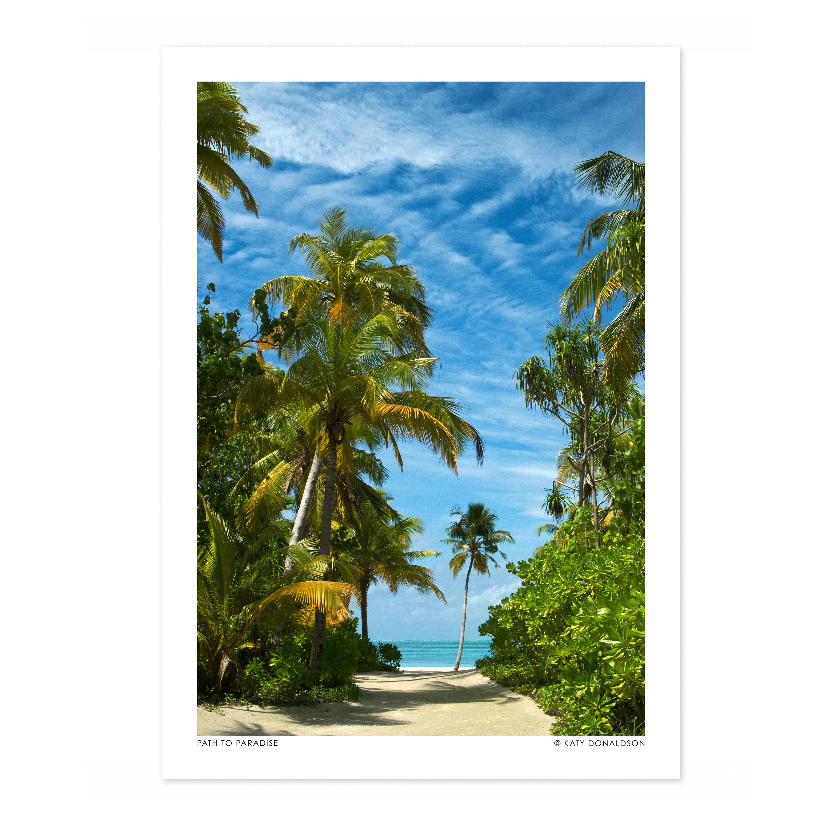 Path to Paradise