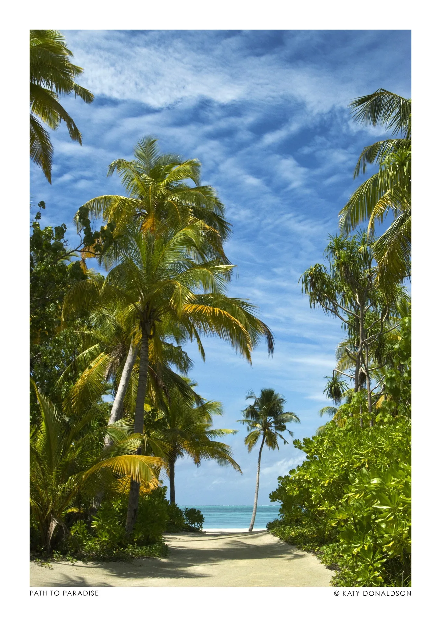 Path to Paradise