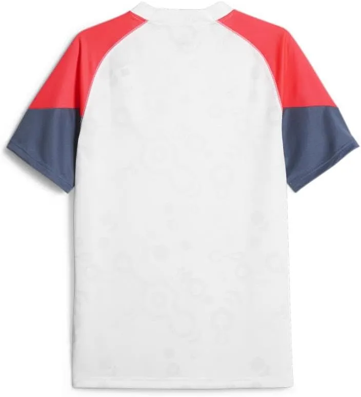 PUMA Men's Training Jersey