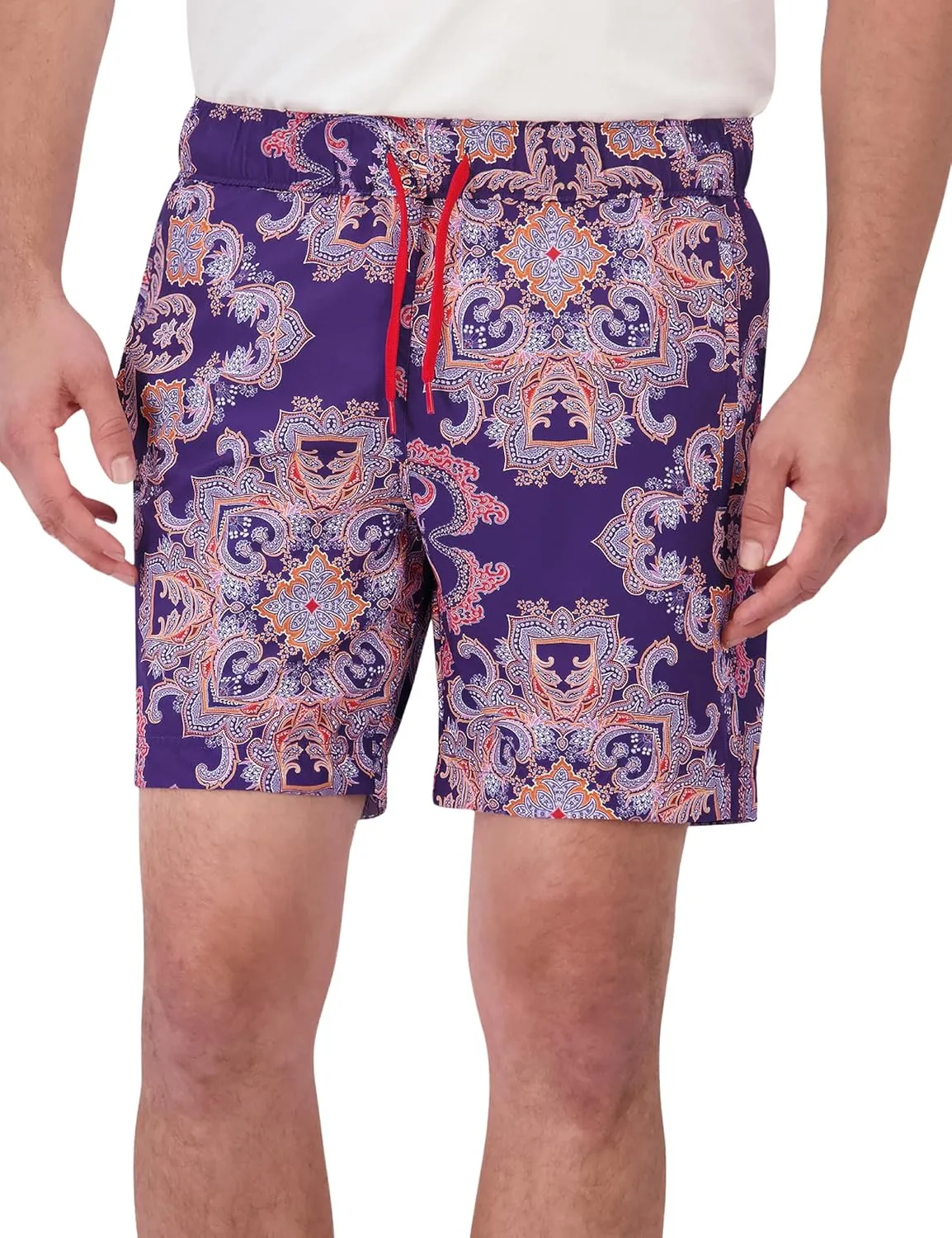 Robert Graham Men's Loki Woven Swim Shorts