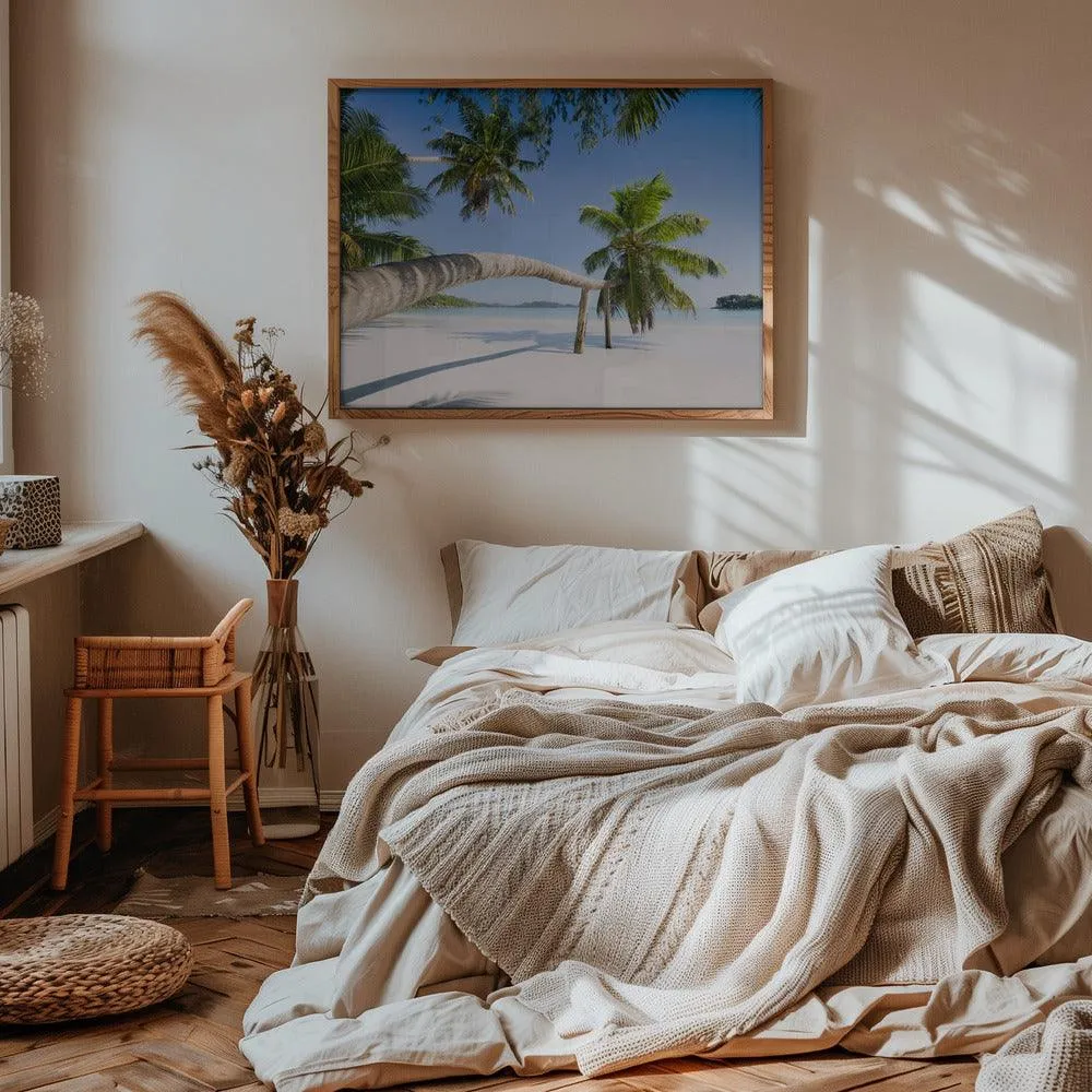 Seychelles Palm Beach