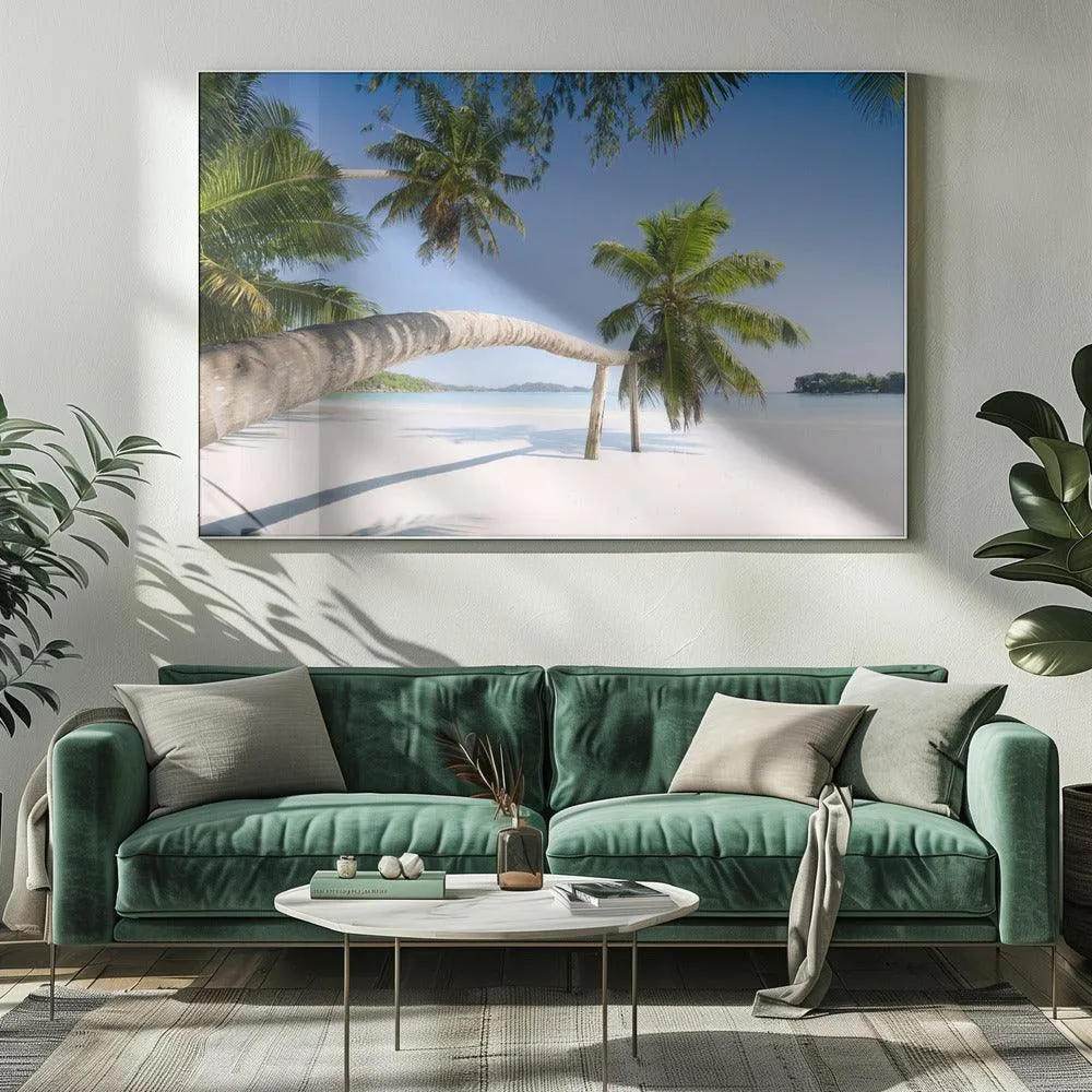 Seychelles Palm Beach