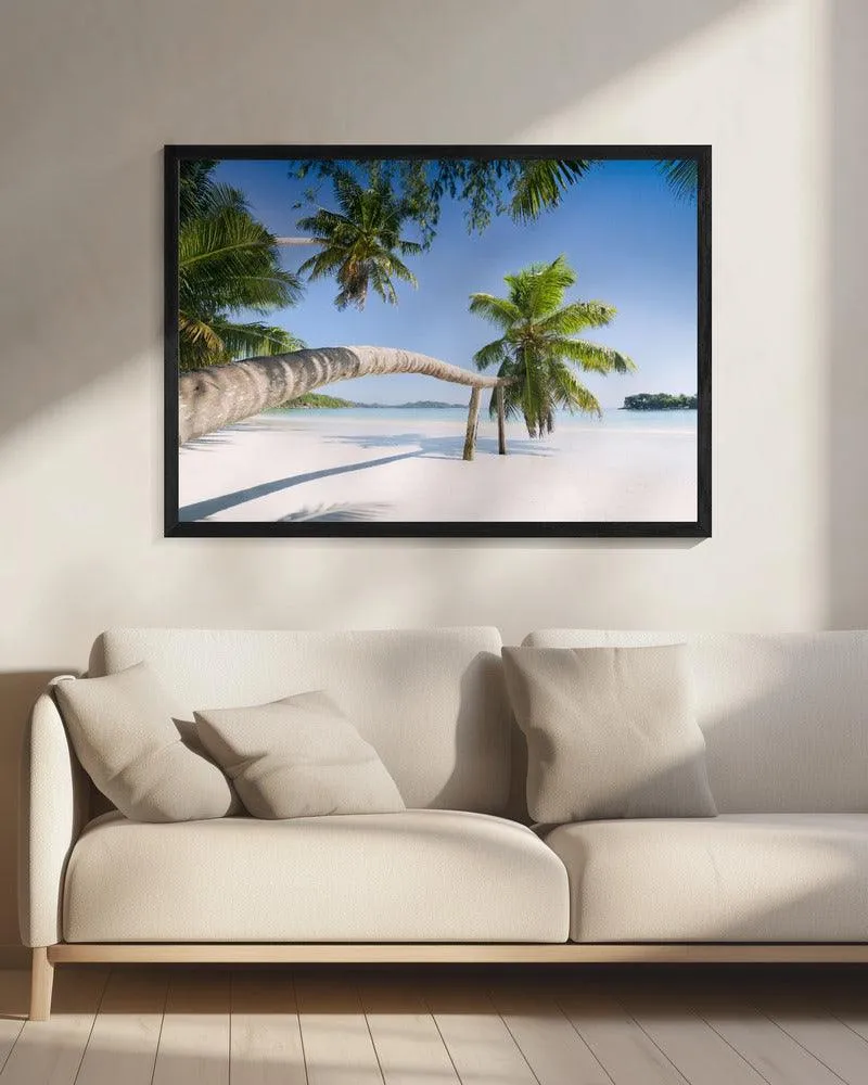 Seychelles Palm Beach