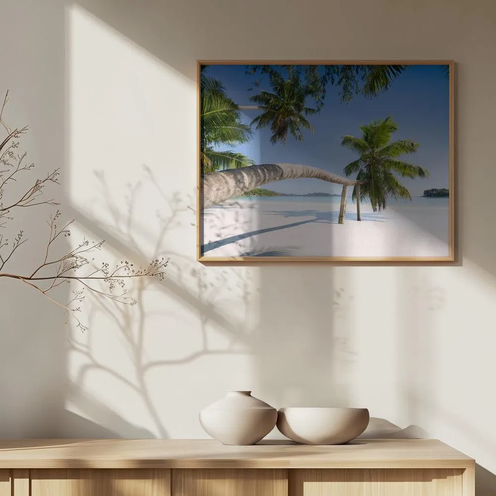 Seychelles Palm Beach