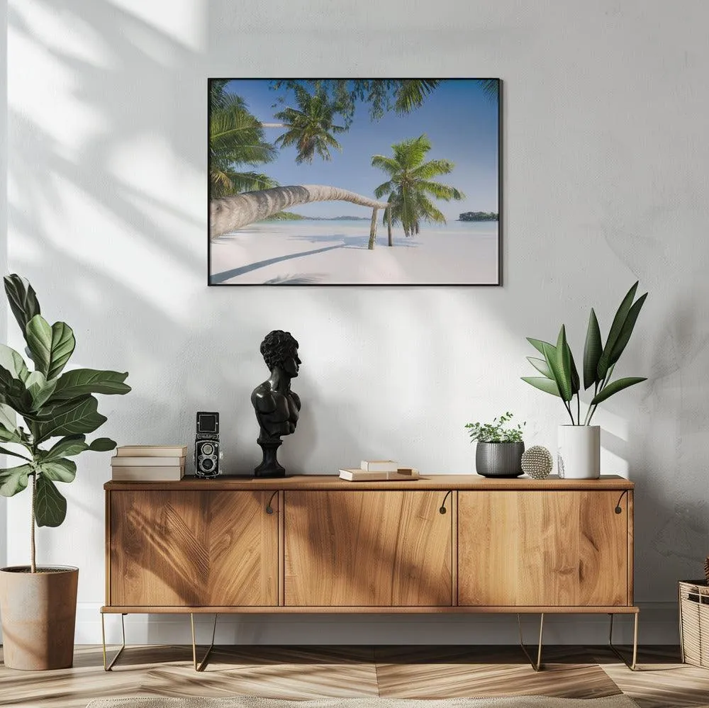 Seychelles Palm Beach