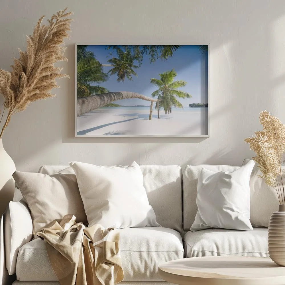 Seychelles Palm Beach