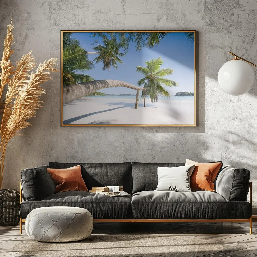 Seychelles Palm Beach