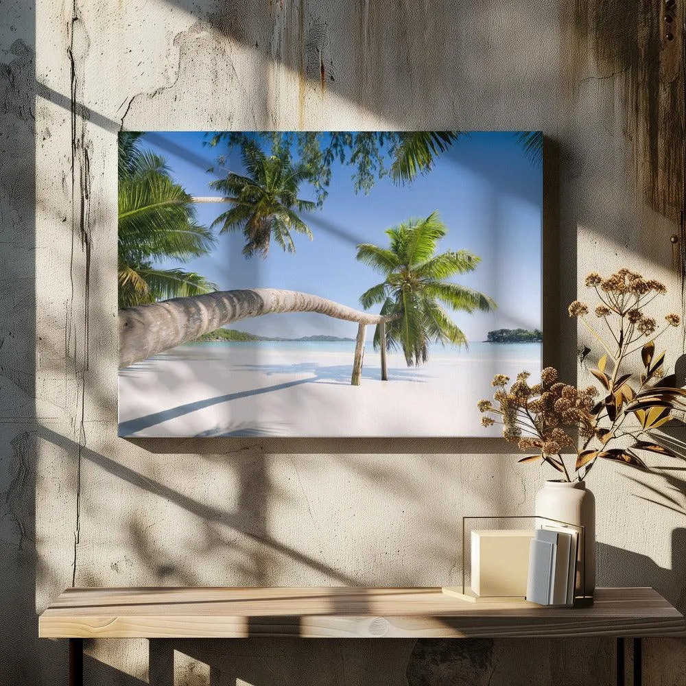 Seychelles Palm Beach