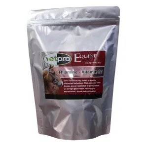 Thiamine Vitamin B1 500GM