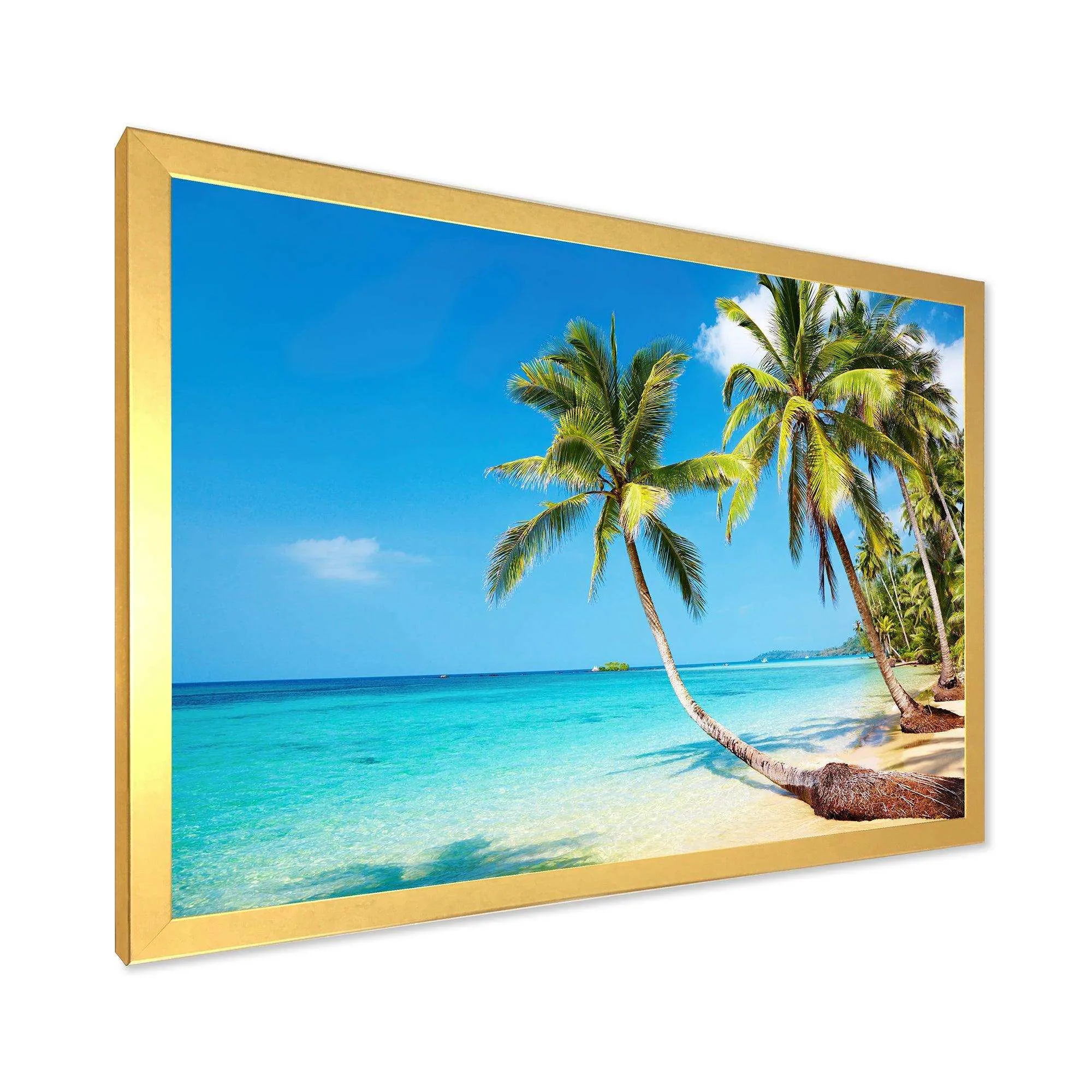 Tropical Beach