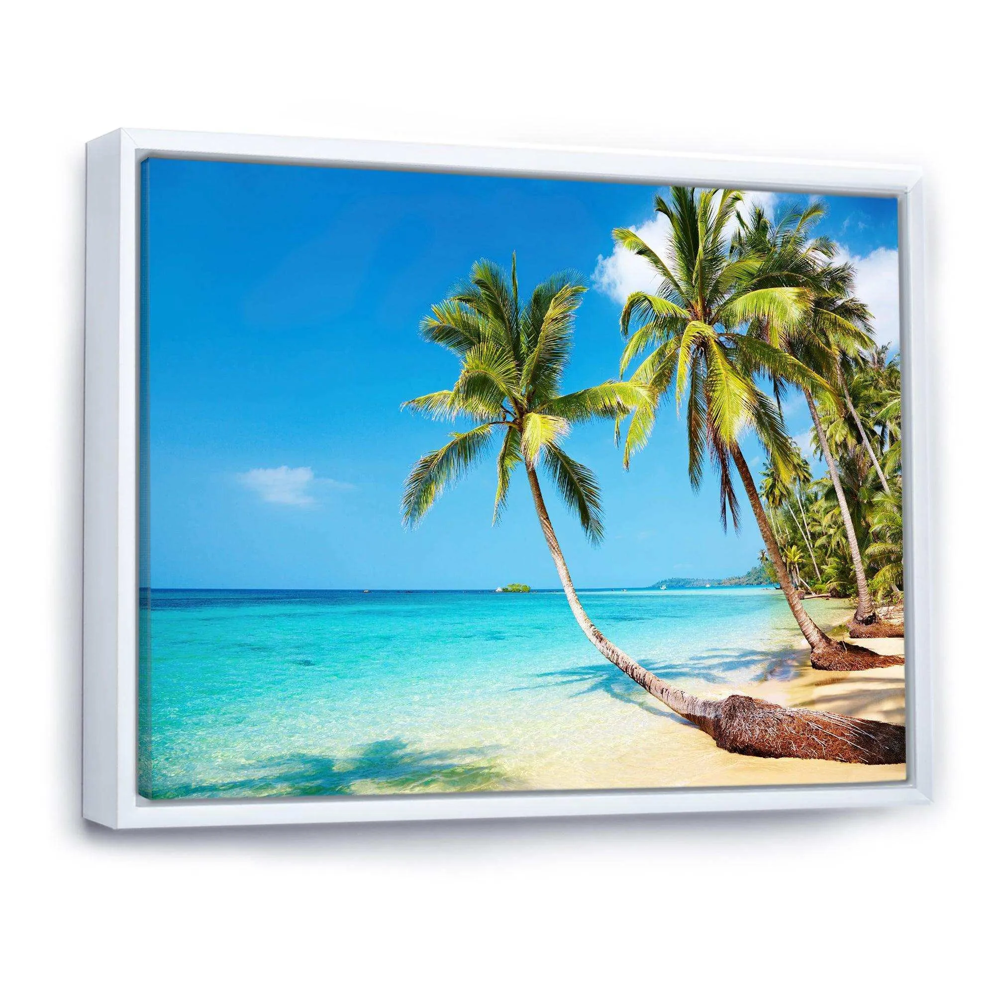 Tropical Beach