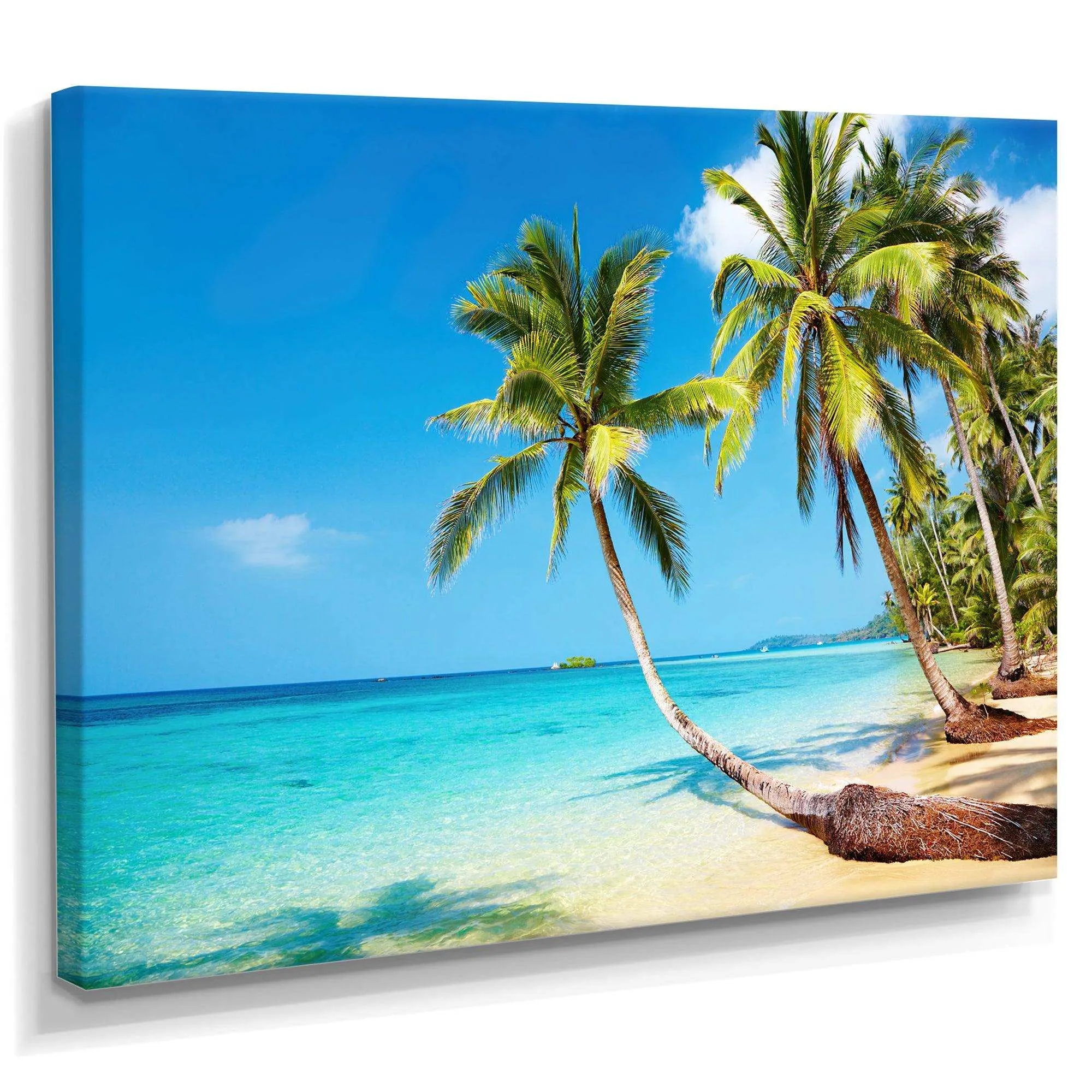 Tropical Beach
