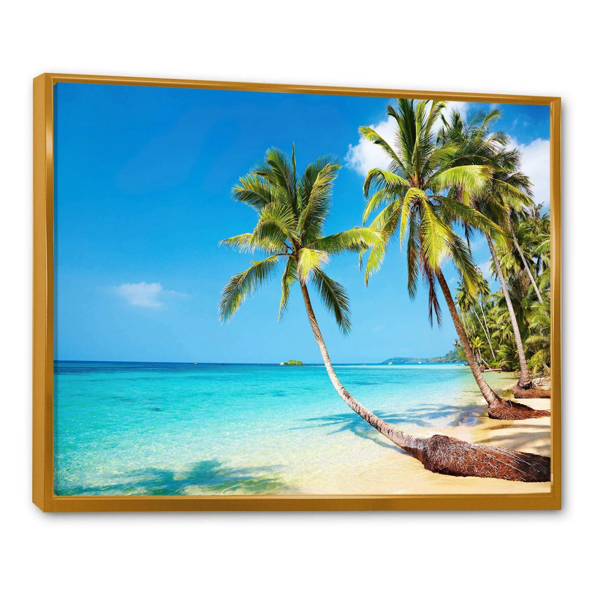 Tropical Beach
