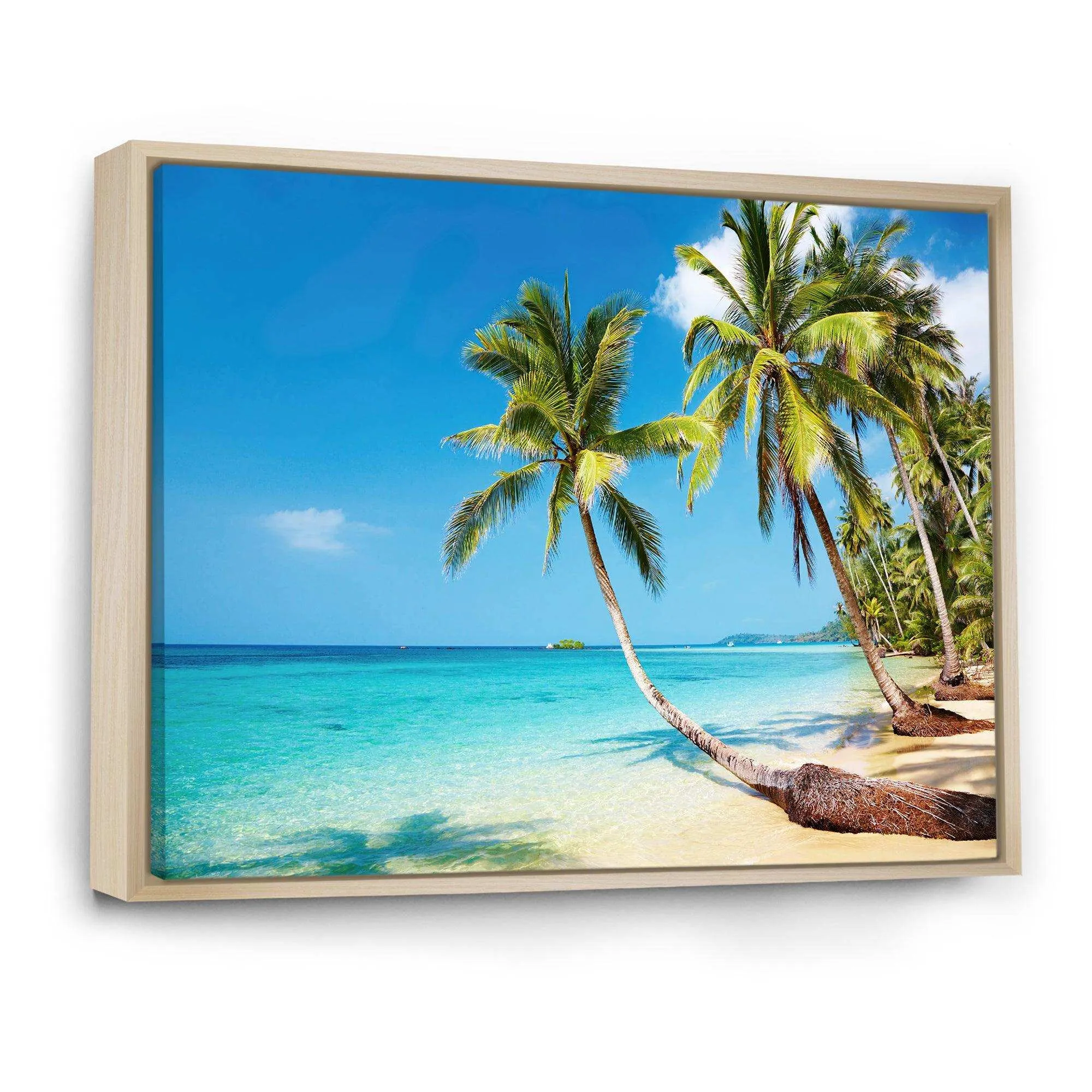 Tropical Beach