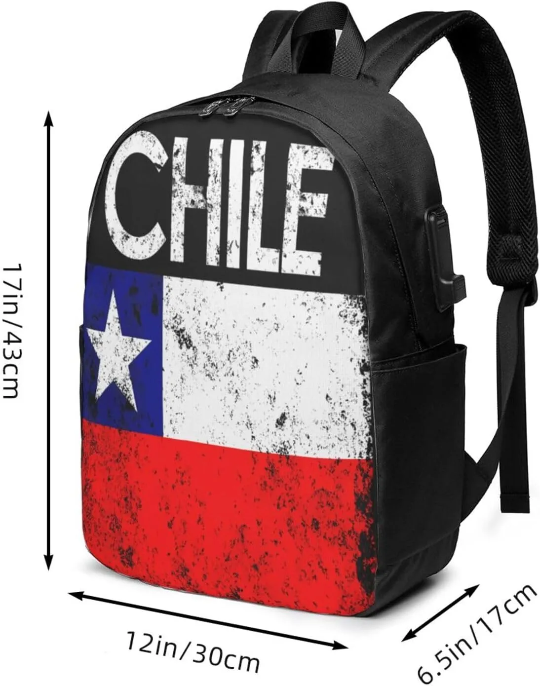 Vintage Chile Chilean Flags Laptop Backpacks Travel Backpack Casual Business Daypack Sport Rucksack Computer Bag Fits up to 17 Inch Notebook with USB Port