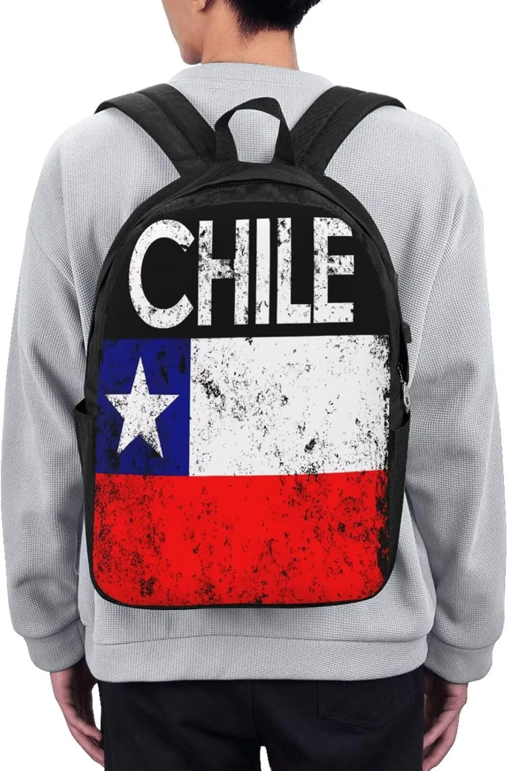 Vintage Chile Chilean Flags Laptop Backpacks Travel Backpack Casual Business Daypack Sport Rucksack Computer Bag Fits up to 17 Inch Notebook with USB Port